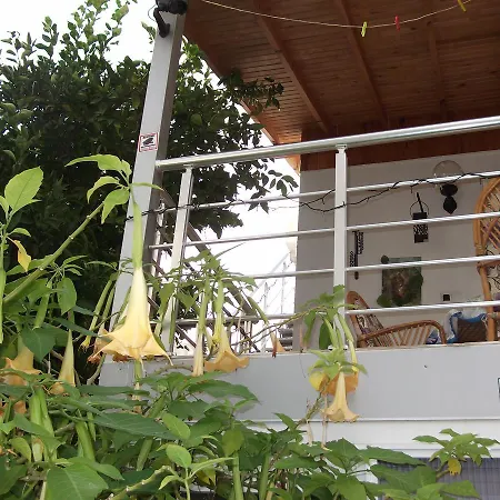 Traumferienhaus Direkt Am Meer *